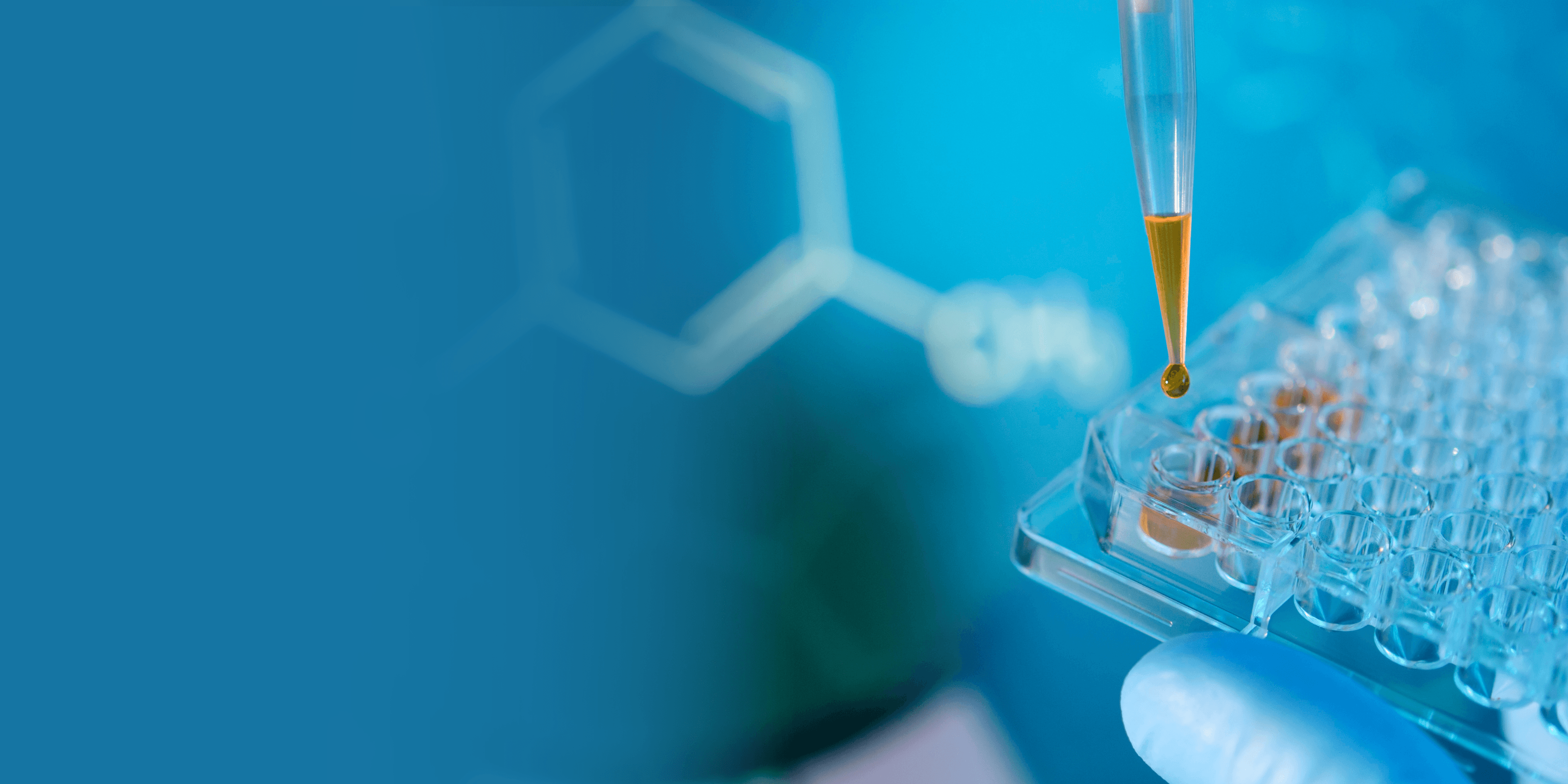 Comprehensive Health Packages